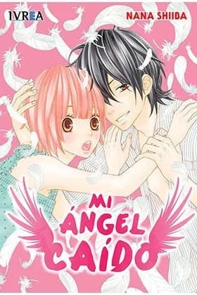 MI Angel Caido